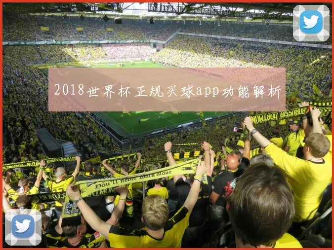 2018世界杯正规买球app功能解析